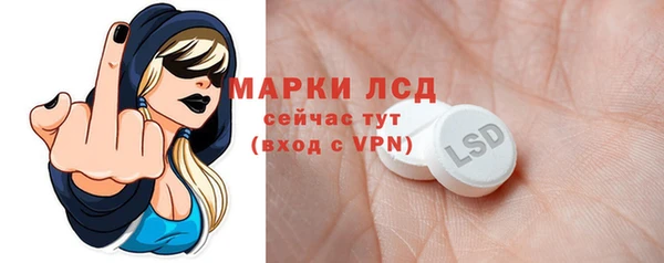 гидра Билибино