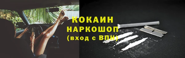 МДПВ Болотное