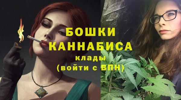 гидра Билибино