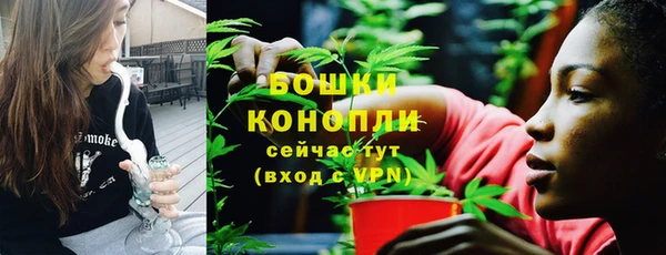 МДПВ Болотное