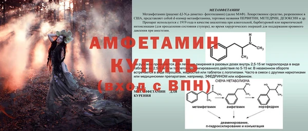гидра Билибино