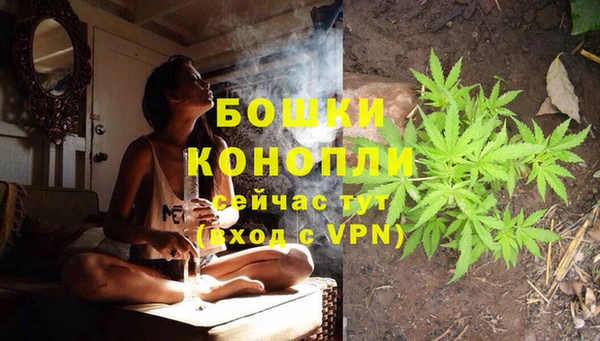 гидра Билибино
